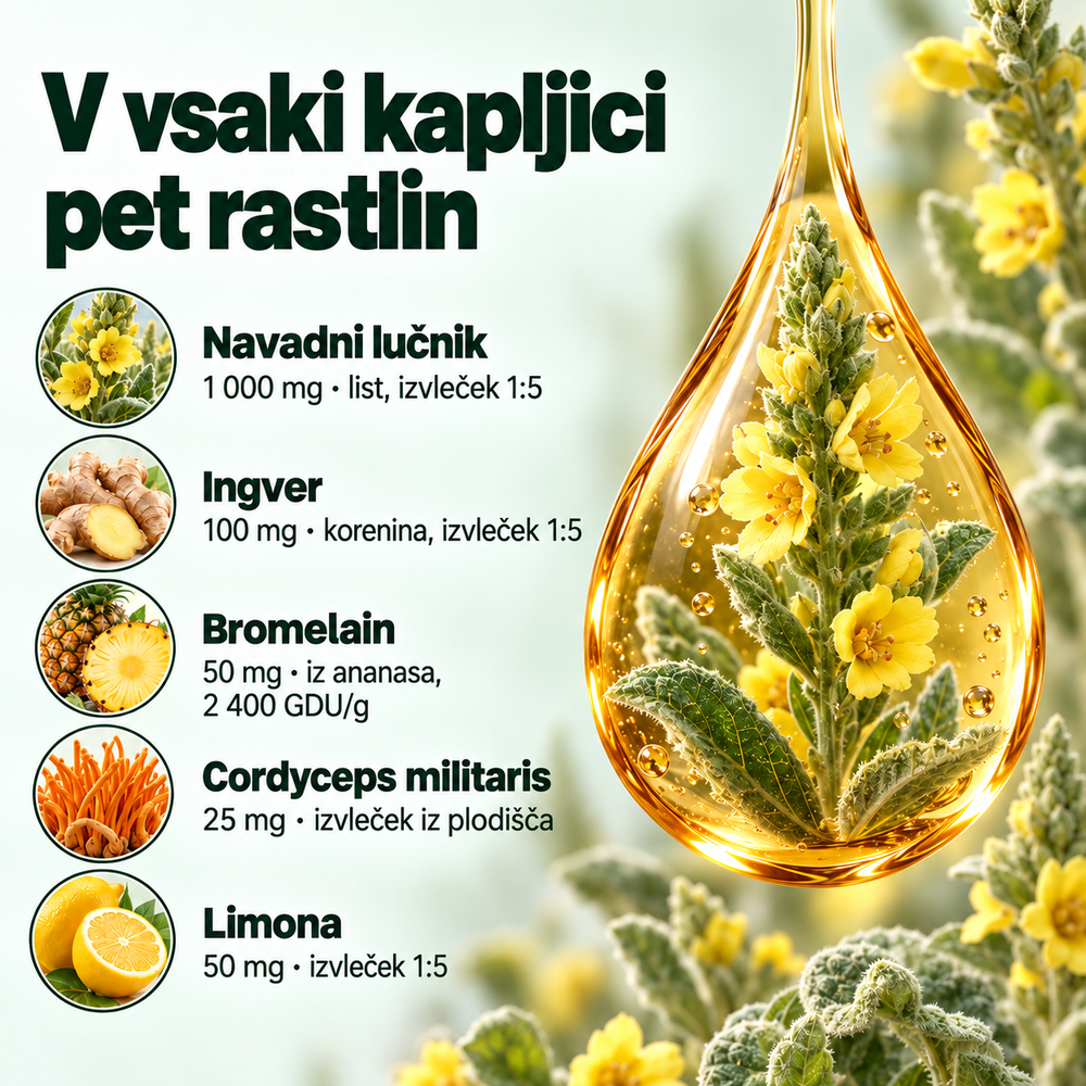 Pulmavi Labs – Kapljice iz divizme